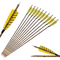 SHARROW Carbonpfeile Set 31 Zoll - Professionelle Jagdpfeile Mit Spine 700 Für Bogenschießen