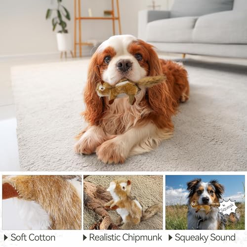 ALL FOR PAWS S accessoire robuste aux finitions soignées - 7