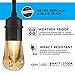 Enbrighten Seasons LED Warm White & Color Changing Café Lights with Oil-Rubbed Bronze Lens Shade, Outdoor String Lights, Black, 48ft, 24 Lifetime Bulbs, Wireless, Weatherproof, Indoor/Outdoor, 43385