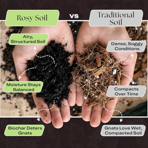 Image of Rosy Soil Plant Food, Organic Fertilizer for Indoor Plants, 4 Quarts | Microbially Active Organic Indoor Plant Food, with Biochar, Kelp, Worm Castings, For Houseplants, Herbs & Flowers