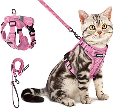 PetBonus Cat Harness and Lead Set,Adjustable Cat Harness Escape Proof Walking Kitten Vest Harnesses,Easy Control Breathable Cat Lead and Harness Set with Reflective Strips for Cats (Green,XS)
