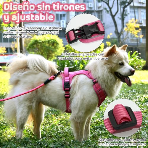 La mejor comparación de Correas para perros , listamos los 10 mejores. 9 Imagen adicional