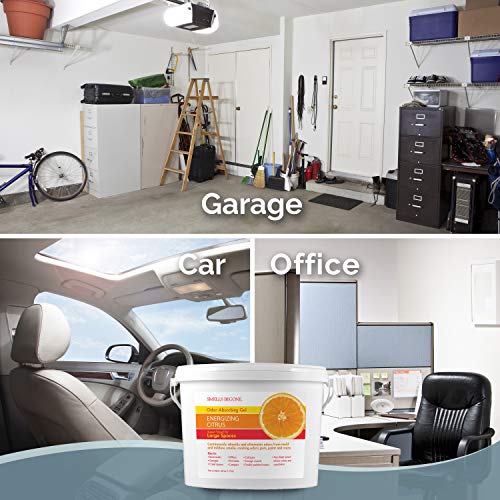 SMELLS BEGONE 1-Gallon Gel Odor Eliminator – High-Capacity, Long-Lasting Absorber for Large Basements, Garages, Workshops & Commercial Areas – Remove Tough Odor with Essential Oils (Energizing Citrus) by SMELLS BEGONE - Image 6