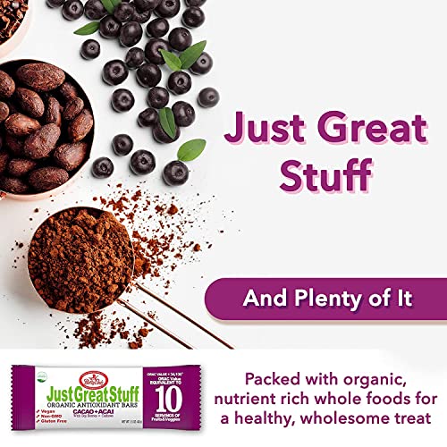 Just Great Stuff Organic Protein Bars | Delicious Superfood Bars W/Cacao Nibs & Berries | Gluten Free, Vegan, Non Gmo | Organic Snacks For Kids & Adults | Individually Wrapped | Cacao Acai (12 Pack) #TOP4