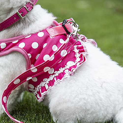 Cute Small Dog Harness, Ladies Polka Dots Dog Vest Harness Set With Pink Leash And Bowknot Collar, 3 In 1 Girl Style Vest Harness Set For Puppy And Cat (L (Chest: 14-18"), Pink) #TOP3