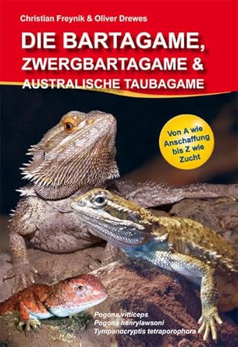 Die Bartagame, Zwergbartagame & Australische Taubagame: Pogona henrylawsoni