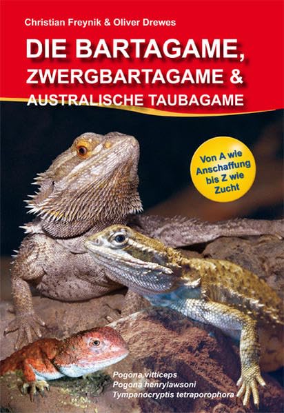 Die Bartagame, Zwergbartagame & Australische Taubagame: Pogona henrylawsoni
