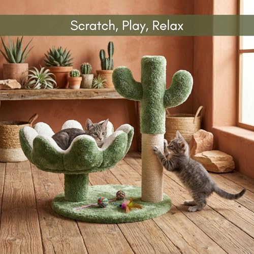 Image of FURRLOVERS Cactus Cat Tree with Scratching Post, Green, 20 Inch Height, Plush Bed, Rope, 16x19 Inch Base (003-CACTUS) (Green)