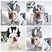 Selena Pet Dinosaur Hat for Dog Cat Puppy Hat Kitten Cosplay Costume Cute Kitten Apparel (One Size,Gray Triceratop)