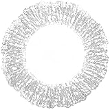 Plateau de fruits à collation : adoptant un matériau en verre sûr, résistant aux températures élevées basses, durable et facile à nettoyer.