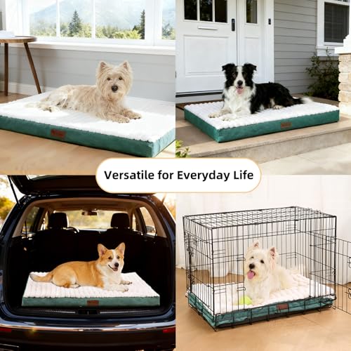 Orthopedic Dog Bed with Firm High-Density Egg Crate Foam - 3 Sizes (S/M/L), Machine Washable Cover & Non-Slip Bottom for Small, Medium & Large Breeds - Image 8