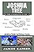 Joshua Tree: The Complete Guide: Joshua Tree National Park