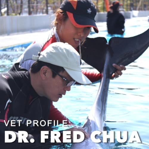 Vet Profile: Dr. Fred Chua, 'the fish vet'