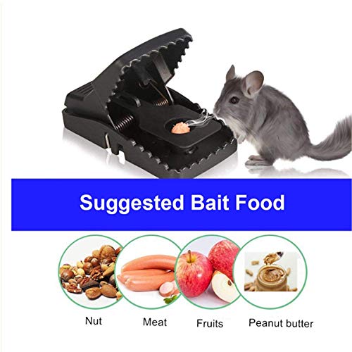 Mouse Trap, Mice Traps That Work Best Snap Traps For Small Mice And Mouse Outdoor Indoor Quick Kill And Reusable Mouse Traps 6 Pack #TOP4