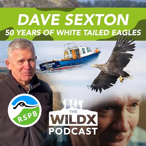 Page de couverture de Episode 37 - DAVE SEXTON - 50 Years of the White-Tailed Eagle!