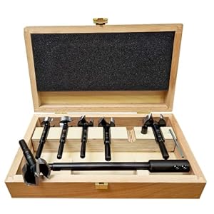 FISCH Forstnerboor SP Wave Cutter