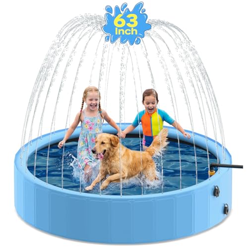 63'' Dog Pool with Sprinkler