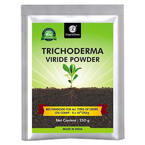 Image of OrganicDews Trichoderma Viride Powder 250 g (2 x 10⁸ CFU per Gram) Bio Fungicide For Plants Controls Root /Stem Rot