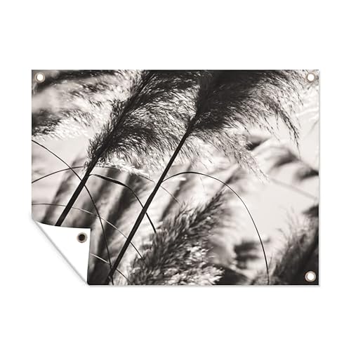 MuchoWow Poster exterieur Herbe de la pampa - Noir - Blanc - Plante Decoration murale 120x90 cm Résistant aux intempéries/soleil