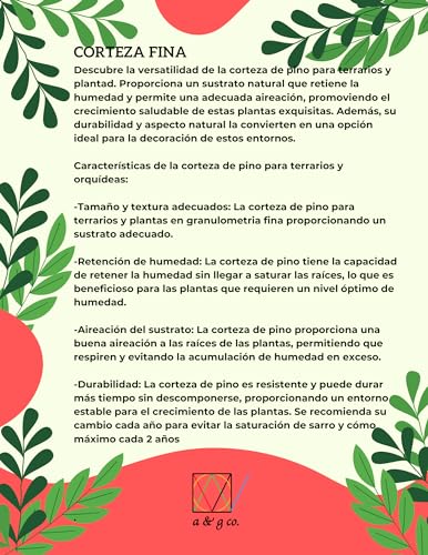 La mejor comparación de Orquideas . 18 La mejor comparación de Orquideas . 14