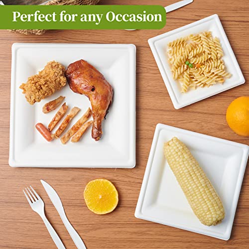 ECOLipak 150 Pieces Compostable Square Paper Plates, 10 inch Disposable Plates Square, Eco-friendly Biodegradable Sugarcane Bagasse Plates for Party Dinner Birthday by ECOLipak - Image 7