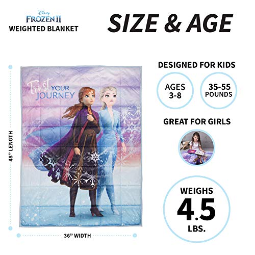 Franco Kids Bedding Super Soft Plush Weighted Blanket, 36 In X 48 In 4.5 Lb, Disney Frozen 2 #TOP4