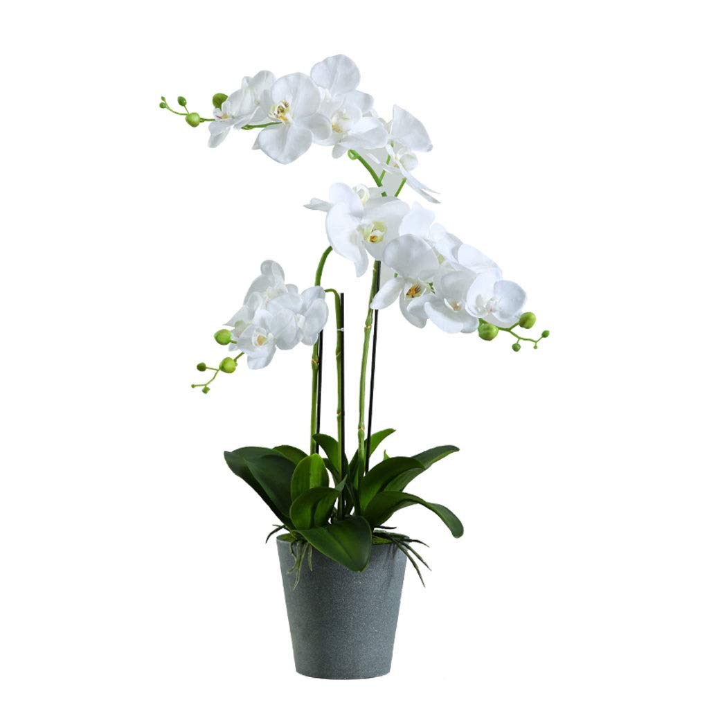 Sbziojhdr One Color Artificial Flowers, Decor Artificial Flowers With Vase Furnishing Decoration Potted Plants Butterfly Orchidet For Home Faux
