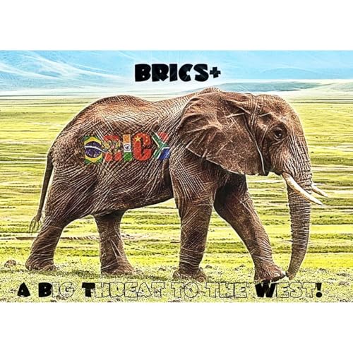 BRICS+ by Philemon Fields episode artwork