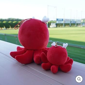 Amazon.co.jp: しかたこ キーホルダー 鹿島アントラーズ : ホビー