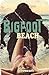 Bigfoot Beach