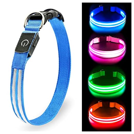 Collar de perro LED con luz LED recargable, resistente al agua y parpadeante, ajustable, muy brillante, para perros grandes y medianos