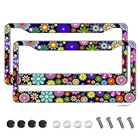 Nightwing BLUE Black Plastic License Plate Frame Auto Accessory DC