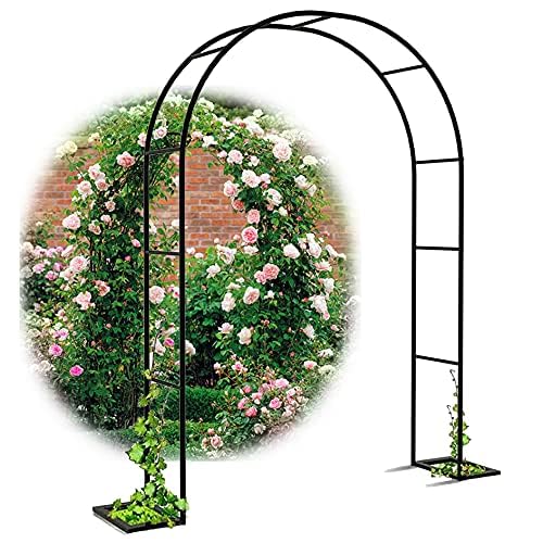 Plante grimpante supportée par une arche de jardin en métal stable