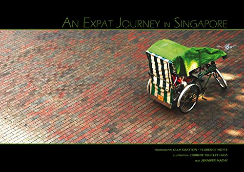An Expat Journey in Singapore Hardcover – January 1, 2010