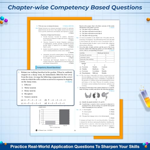 Image of PW UP Board Phod Class 10 Science Question Bank Chapterwise with 14 Mind Maps and PYQs For 2026 Board Exam | 100 Most Probable Questions and Model Papers with OMR Sheet