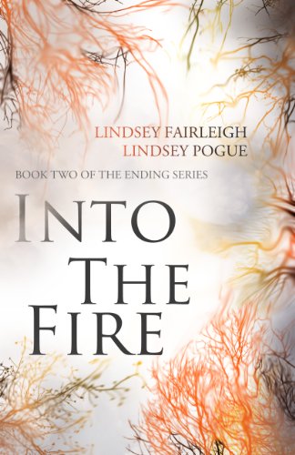 Bargain eBook - Into The Fire