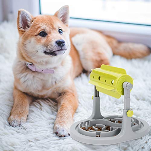 Distributeur de chat et chien pour stimuler son esprit à la maison