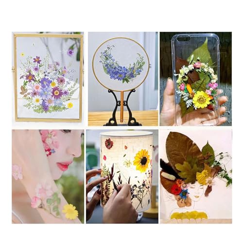 Kit de fleurs pressées séchées colorées pour résine sans bulles