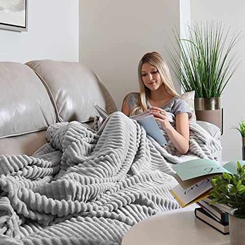 Clara Clark Cut Plush Blanket - Queen Size - Lightweight Super Soft Fuzzy Luxury Bed Blanket For Bed - Machine Washable - (90X90) (Light Grey) #TOP2