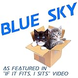 Blue Sky (As Heard in the 'If It Fits, I Sits' Video)