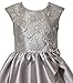 Bonnie Jean Girls 4-16 Silver Gray Embroidered Sequins Mikado Dress (14)