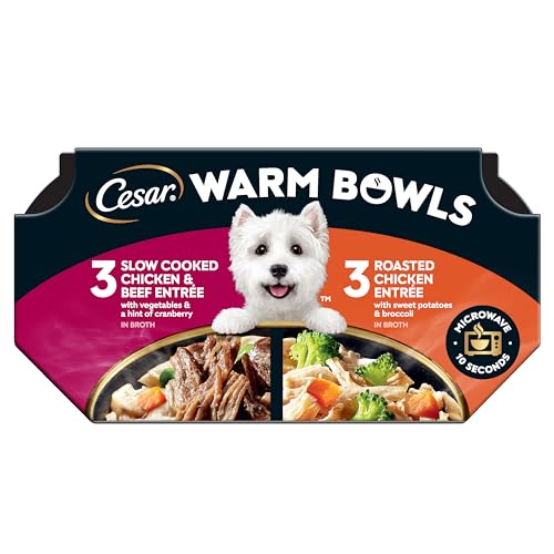Cesar Warm Bowls Wet Dog Food, Chicken & Beef Variety, 2.7 oz, 6 Count