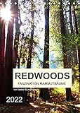 Autor(in): Isabel Bürschgens Redwoods - Faszination Mammutbäume (Tischkalender 2022 DIN A5 hoch)