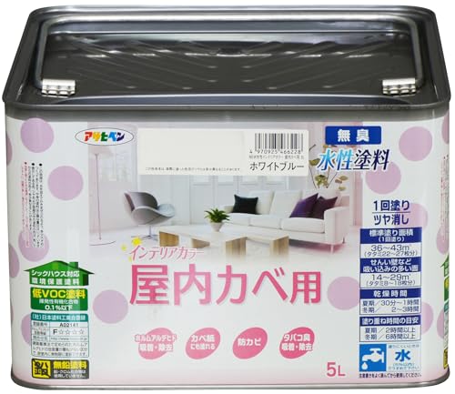 �����C���e���A�J���[ �����J�x�p 5L