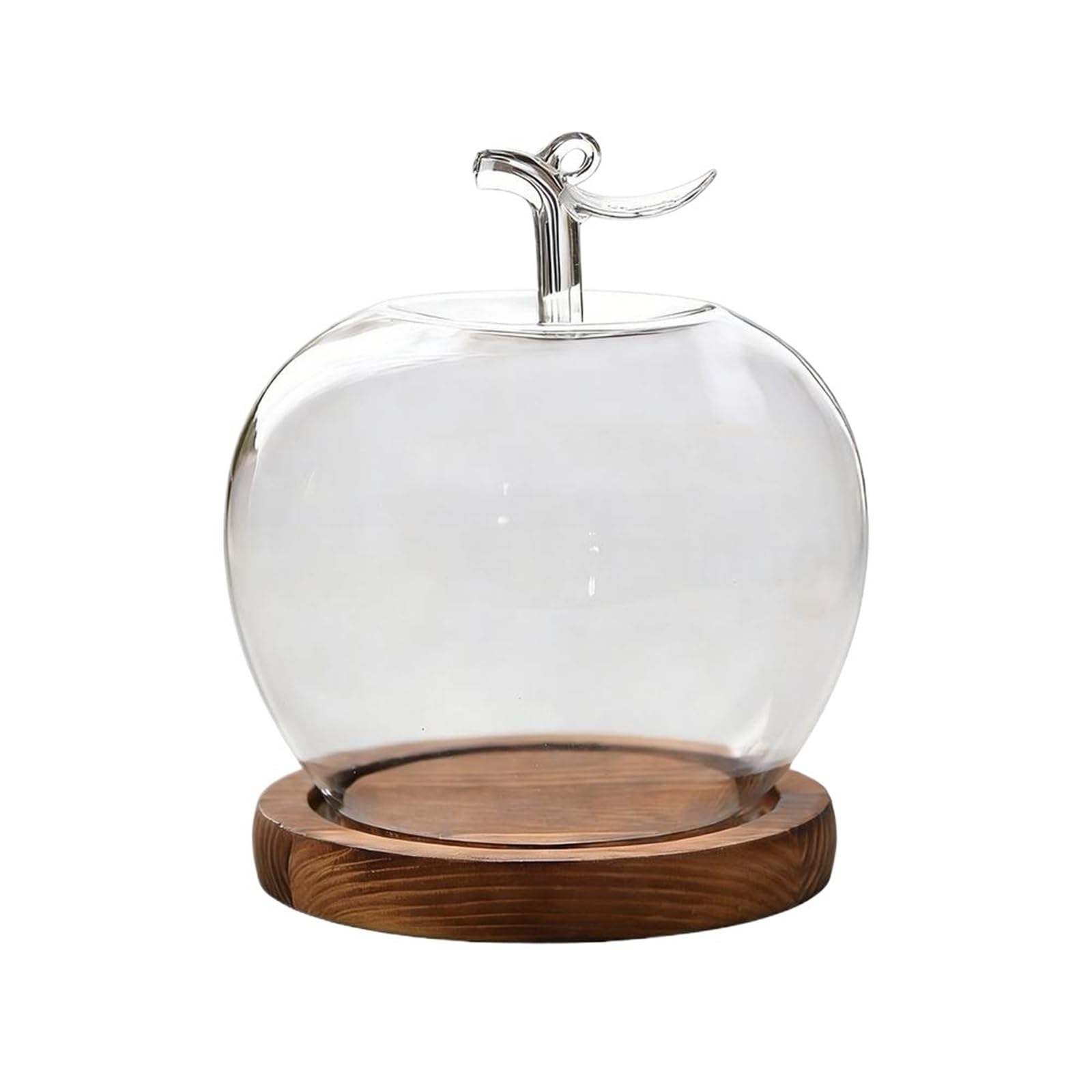 WYQXTY Clear Glass Cloche Display Glass Cloche Dome Desktop Decoration for Preserved Flowers and Collectibles Multicolor(Color 02)