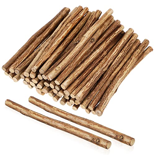 NUOBESTY 50 Pcs DIY Wooden Stick Making Sticks Craft Wood Sticks Photo Stick Natural Style Branches Log Branches Decorations Wood Log Sticks Decoration for Home Child Pine Chips Rural