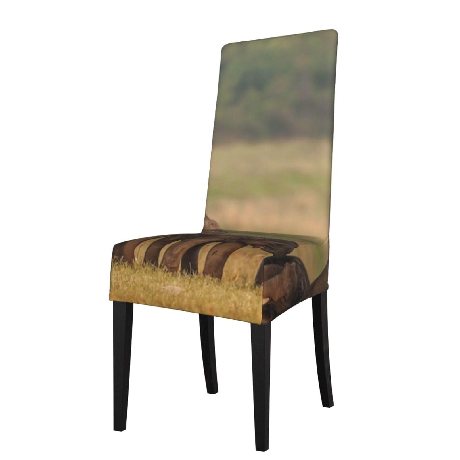 WPKJU Elephant Family Print Dining Chair Covers Removable Chair Seat Covers Decorative for Kitchen & Bar Stools
