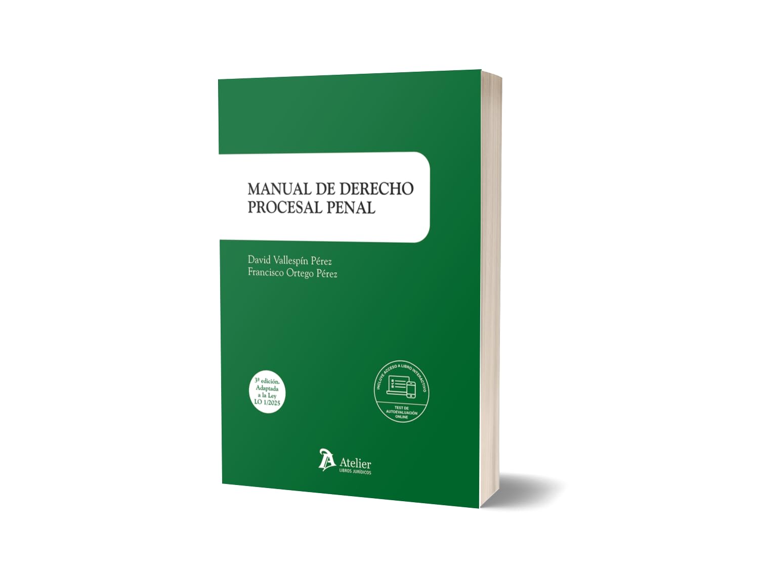 Manual de derecho procesal penal. 3ª ed. (MANUALES)
