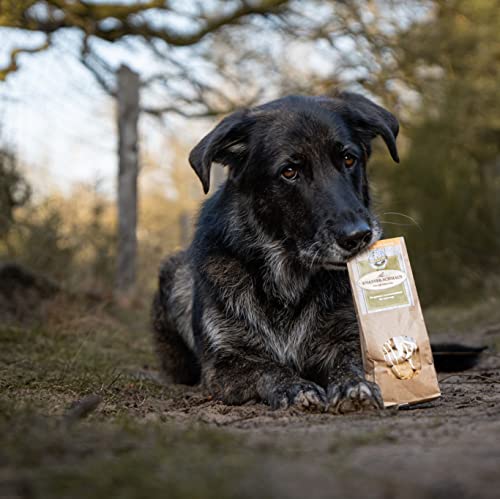 Bellfor Knabber-Schmaus Hundekekse mit frischem Hühnerfleisch – 100 g. Getreidefreie Hundeleckerlis ohne Zucker, leicht verdaulich für Sensible Hunde. Snacks für das Hundetraining
