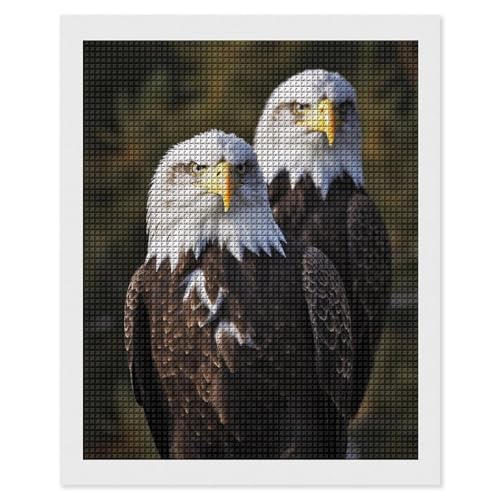 Kit peinture diamant 5D aigle tête blanche maccbn broderie carrée complète
